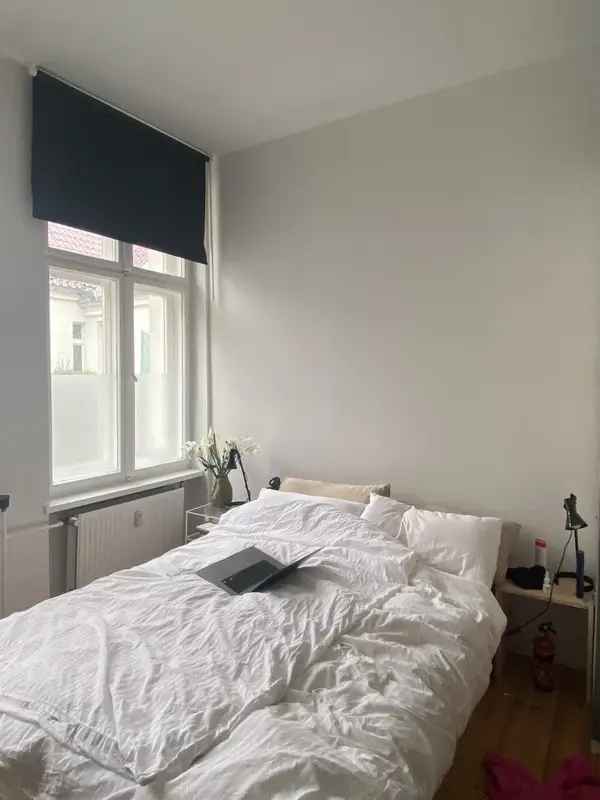 2 Zimmer Wohnung Rote Insel Altbau 57qm Balkon EBK