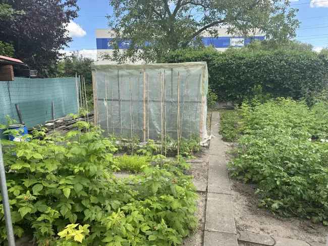 Doppelhaushälfte Mainz Kostheim 156m² Garten Carport 2 Stellplätze