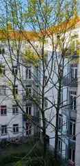 Wohnung (68.0 m²) zur Miete in Berlin (Barbarossastraße 56, 10781 Berlin, Germany)