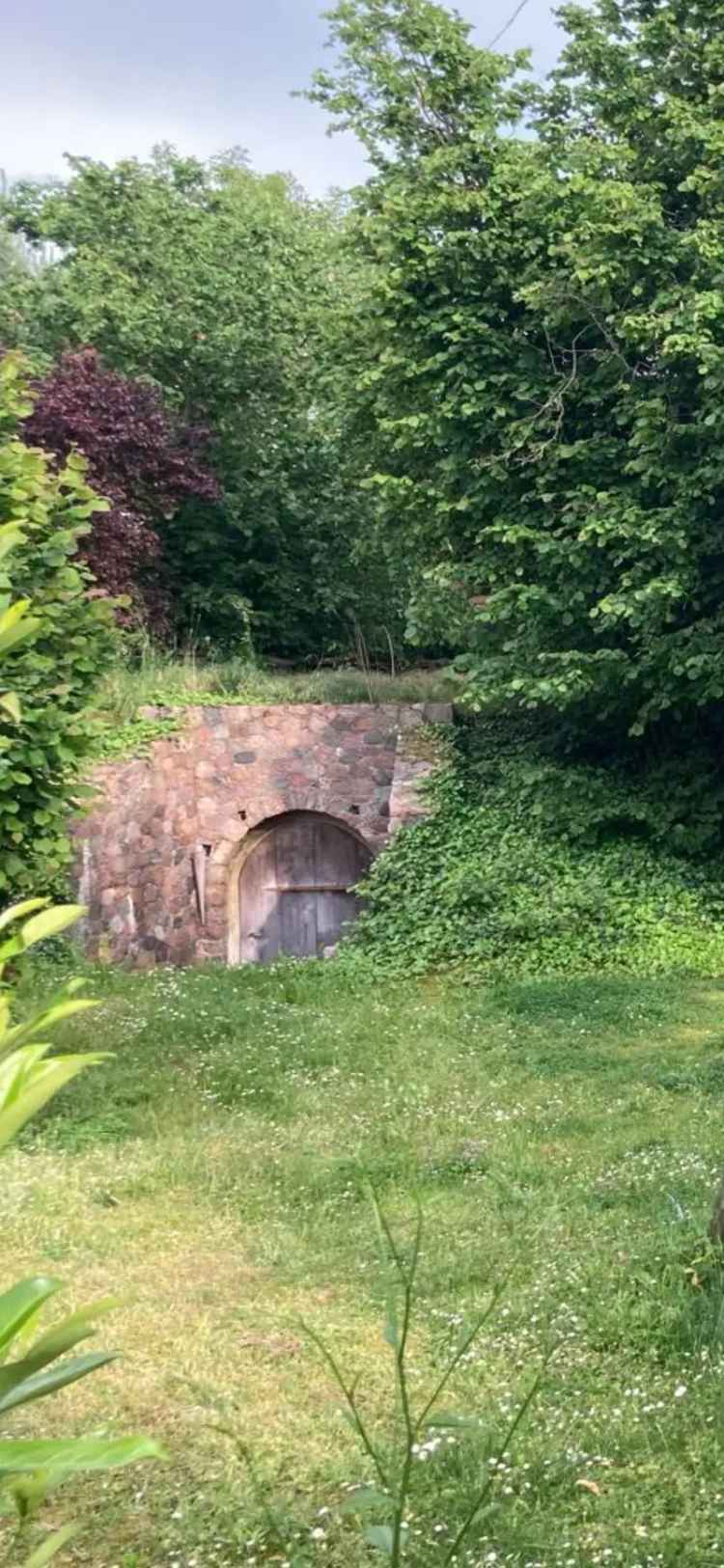 Haus kaufen in ruhiger Lage mit Weinkeller und individueller Beratung