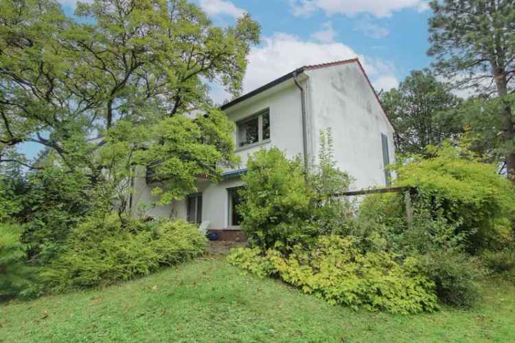 Reihenendhaus mieten mit großem Garten in Offenbach am Main