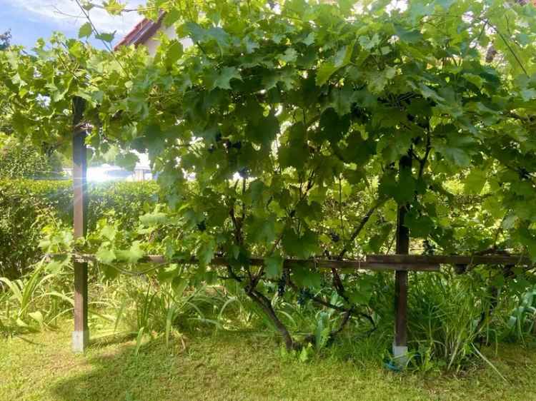 Einfamilienhaus Berlin Staaken 140m² Garten Dachgeschossrohling