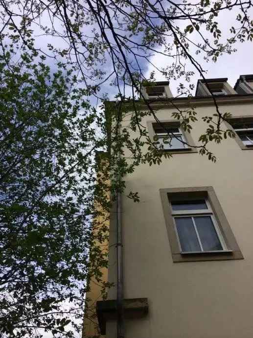Helle gemütliche 1-RW mit separater Küche