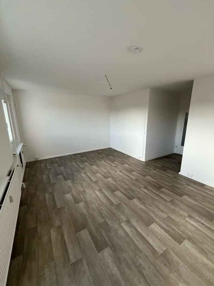 Mieten 2 Raum Wohnung in Kappel mit Balkon und neuem Badezimmer