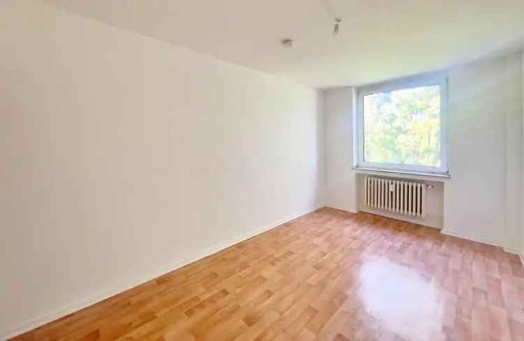 3 Zimmer Wohnung Hockstein Aktionspreis