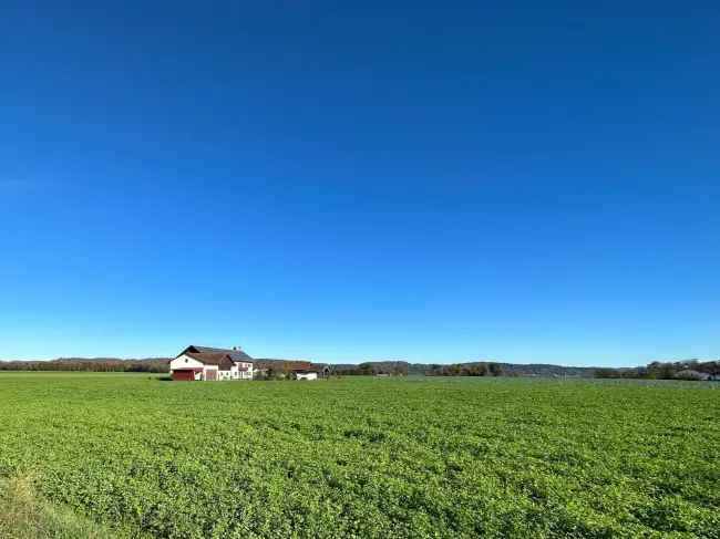 Schönes Bauernhaus in Alleinlage
mit ca. 20.660 m² Grund in Haiming