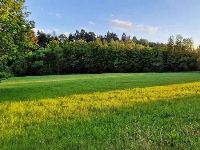 Bauplatz Wittibreut - Ruhige Lage am Dortrand mit Südausrichtung