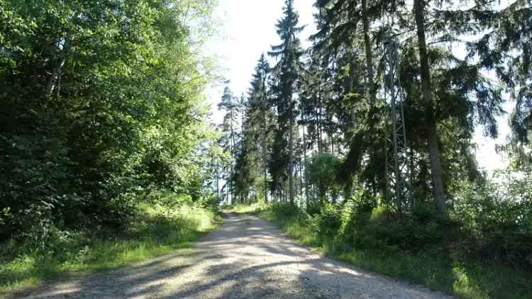 Mieten freistehendes Ferienhaus im eigenen Waldgrundstück mit Wanderwegen