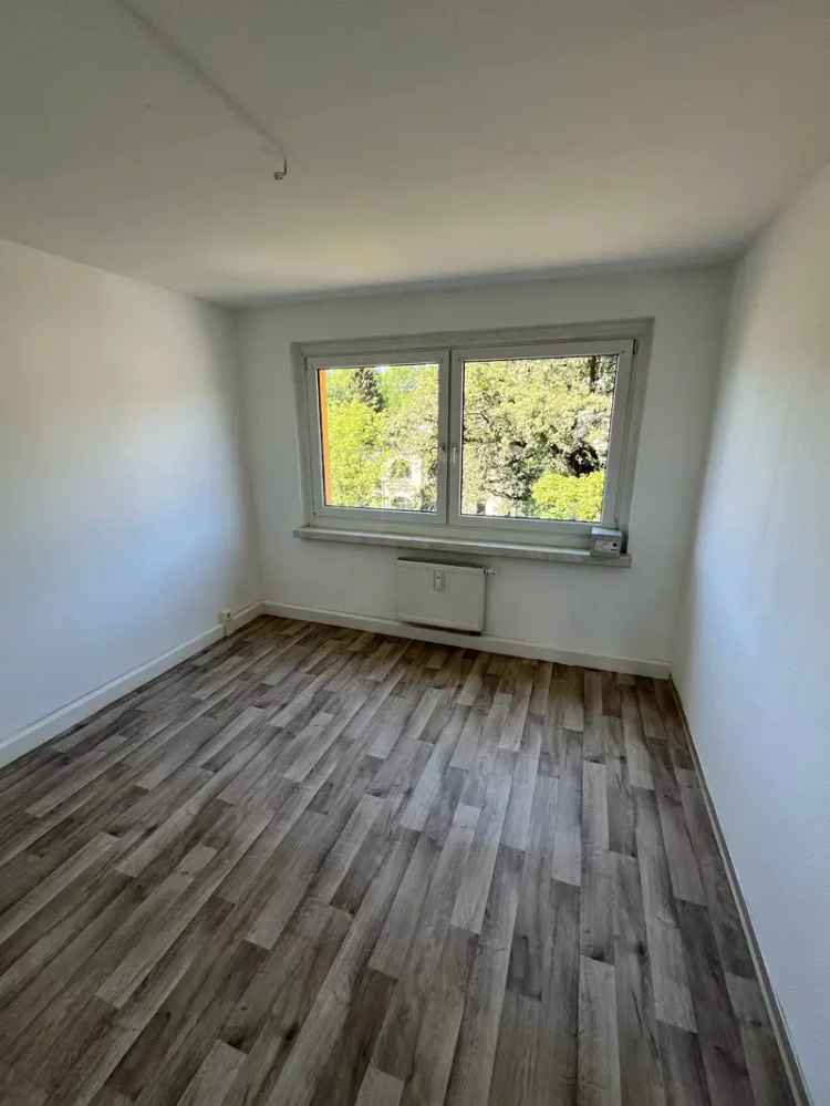 4 Raum Wohnung Chemnitz Stadtparkblick