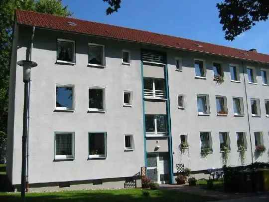 3 Zimmer Wohnung Stadtlage Renoviert