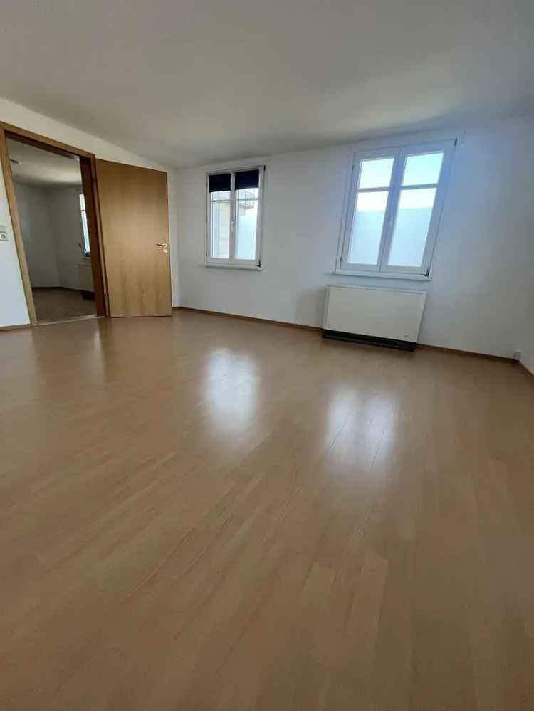 Helle 2,5 Zimmer Wohnung mit großer Sonnenterasse