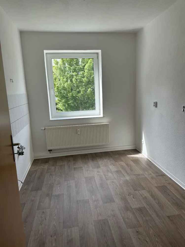 Starten Sie neu in dieser schönen 2-Raum-Wohnung