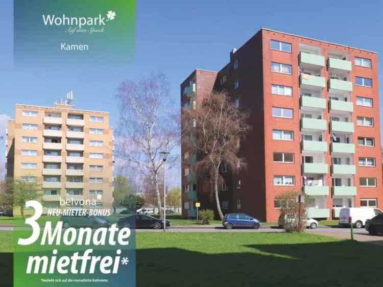 Miete 3 Monate mietfrei frisch sanierte wohnung im belvona Wohnpark Auf dem Spieck