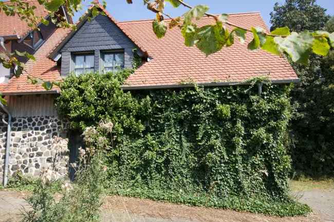 Mehrgenerationenhaus mit viel Platz in idyllischer Lage