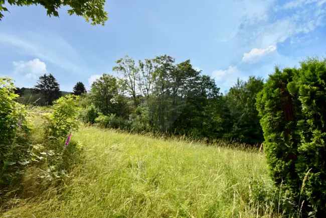 Großes Baugrundstück Oberreifenberg - Sonne, Ruhe, vielseitige Bebauung