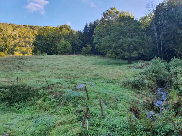 Reserviert - Baugrundstück in Todtnau (Schlechtnau)