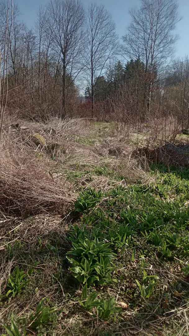 Baugrundstück in Seenähe