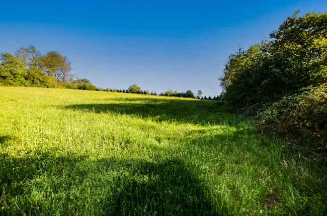 Unser Geschenk zur Adventszeit
Ein Jahr Baustellenversicherung (bis 200,- EUR)
Baugrundstück mit ca. 790 m² in ruhiger Randlage