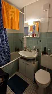 Wohnung mieten in Frankfurt am Main