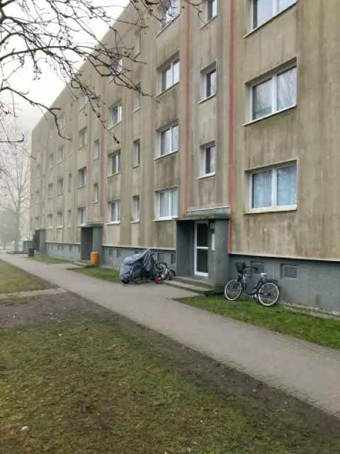 Frisch Renovierte 4 Raum Wohnung im EG rechts, Mittelkamp 4  Besichtigung ab Mitte Juni 2025