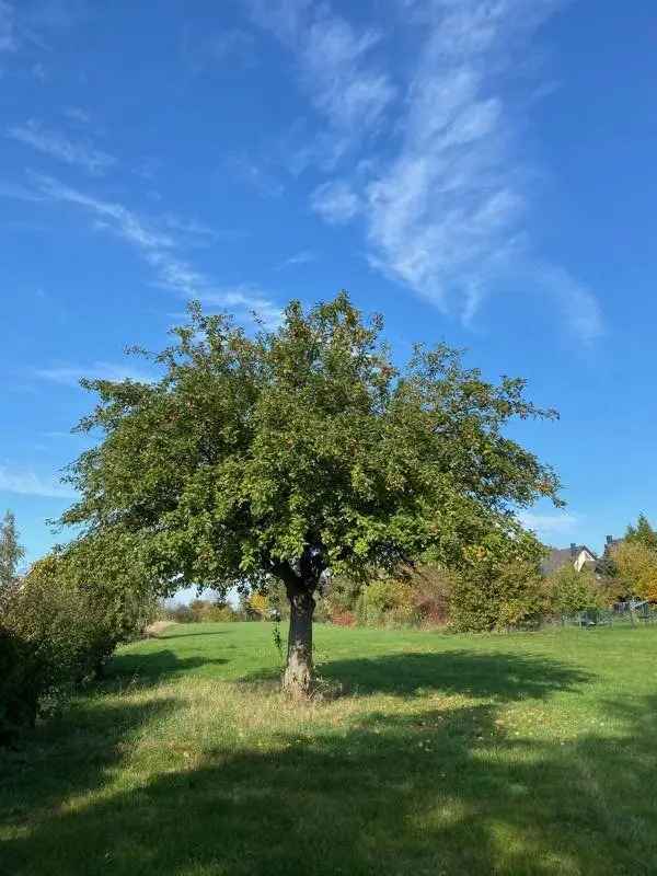 Doppelhaushälfte Schönfeld Weißig 140m² 3 SZ Garten KFW55 Neubau