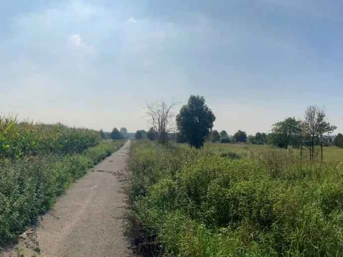 Reihenhaus Köln Wärmepumpe Photovoltaik Garten