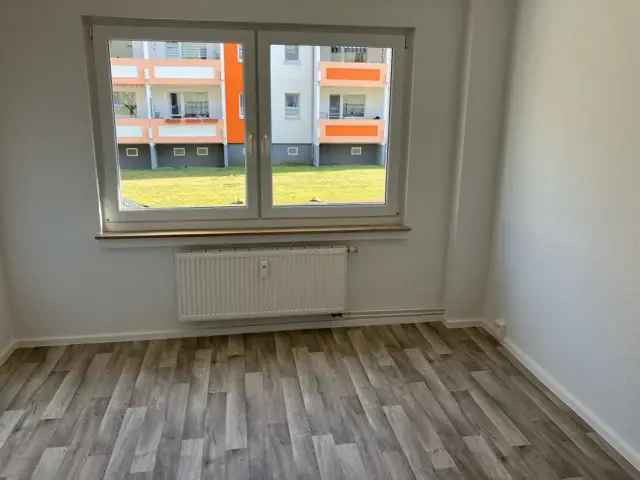 Frisch Renoviert kleine Singlewohnung im EG