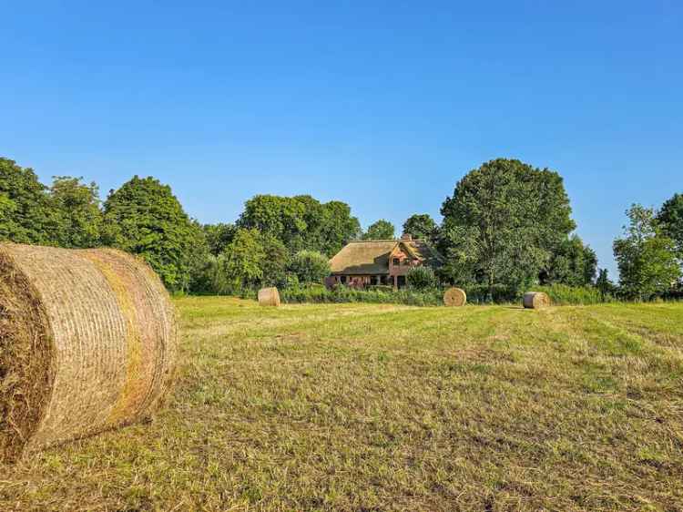 Kaufen Haus Eiderstedt Reetdachhaus mit historischer Warft