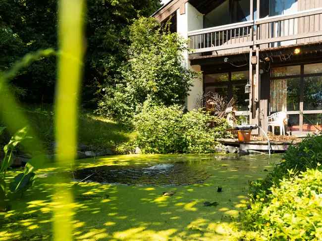 Grundstück mit Architektenhaus u 4 Wohneinheiten Pfarrkirchen-Reichenberg