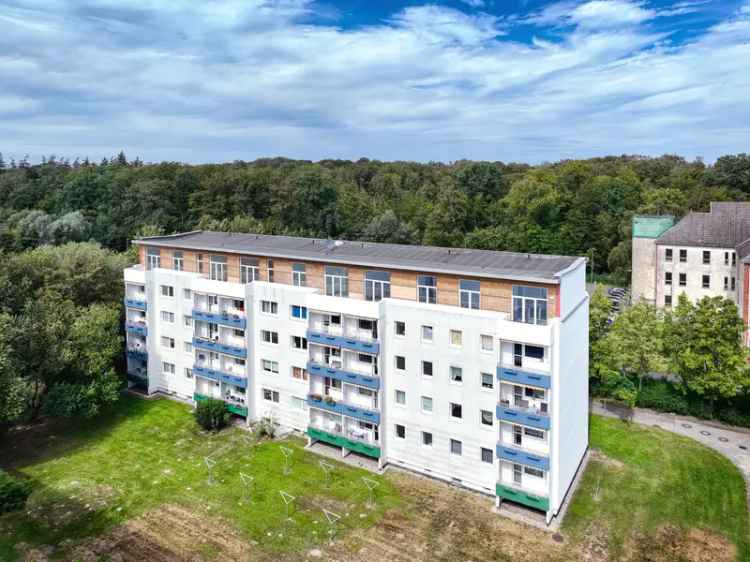 Wohnung Zum Kauf in Bad Doberan, Mecklenburg-Vorpommern