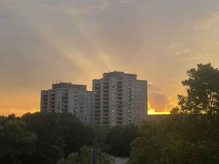 2 Zimmer Altbauwohnung Pankow Ernst Thalmann Park Balkon