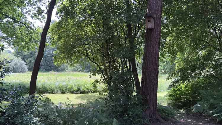 Kaufen Haus mit eigenem Flussufer in Hanglage und großem Naturgarten