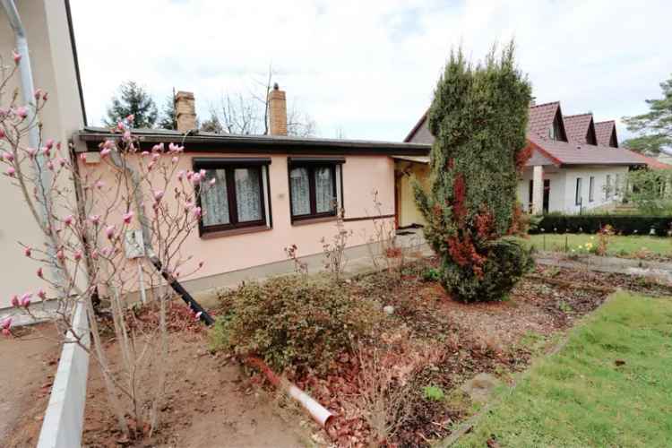 Ruhiges Haus mit Garten Garage in Leipzig