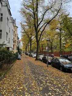 Mieten 2 Zimmer Wohnung Berlin Tempelhof neu renoviert