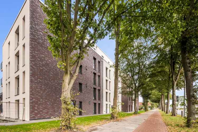 3-Zimmer-Neubauwohnung in Bremen mit Terrasse und KfW40-Subvention