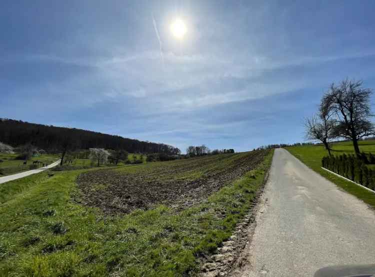 Ackerland, Grünland, Waldfläche in Groß-Umstadt / Wiebelsbach