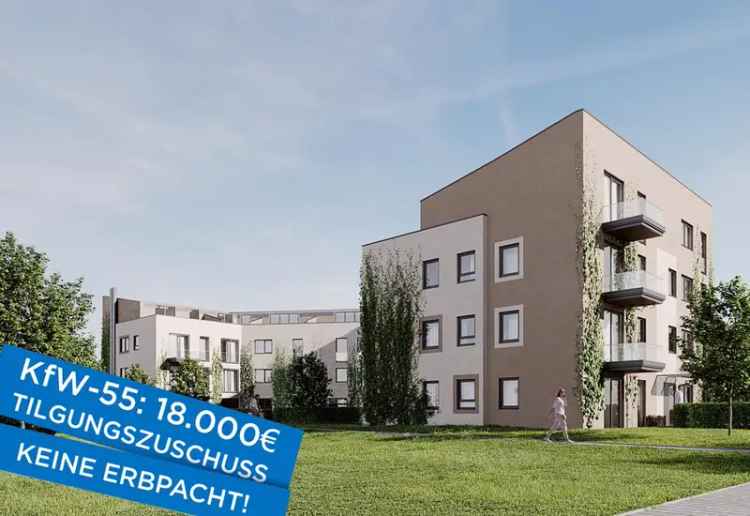 Großzügige 4½-Zimmer-Wohnung mit Dachterrasse und Balkon, KfW-55, Wohnung 19