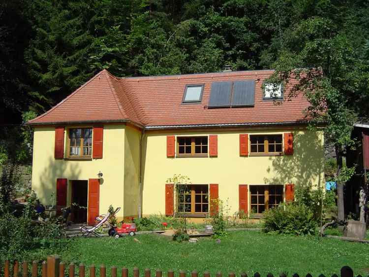 Idyllisch gelegenes EFH mit Elbblick und Ferienhaus zur Finanzierung + provisionsfrei +