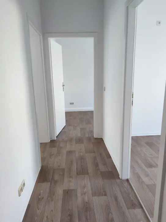 Gemütliche 2-Raum-Wohnung mit genug Platz für alle Bedürfnisse