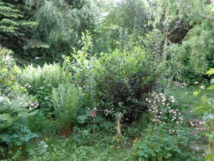 Möblierte Wohnung mit Garten in S-Bahn Nähe