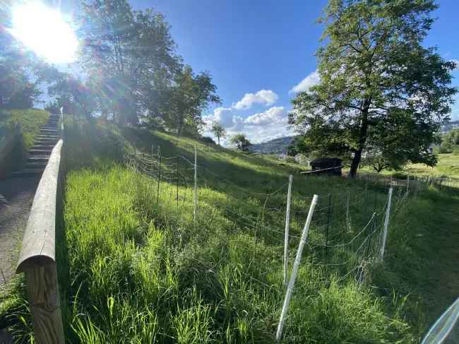 Gartenhausgrundstück Lörrach-Haagen 636 qm Reserviert