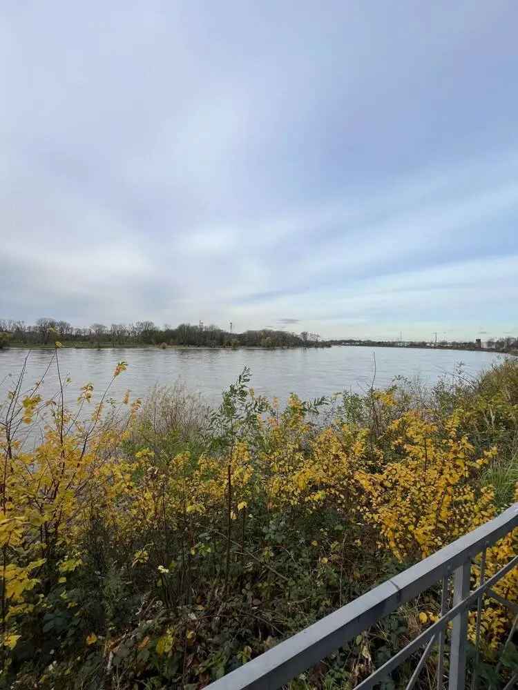 1 Zimmer in einer Wohngemeinschaft! Köln-Mülheim am Rhein!