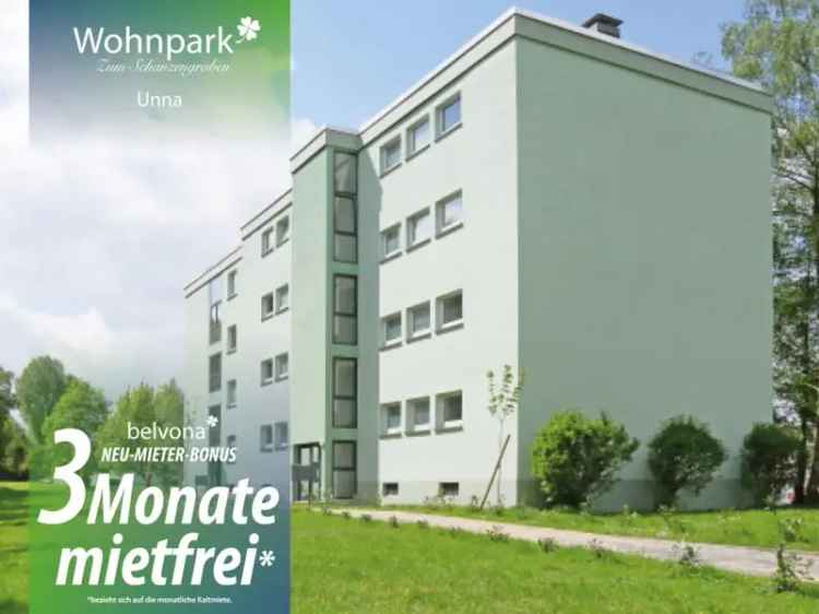 Mieten Sie eine frisch sanierte Wohnung mit 3 Zimmern im belvona Wohnpark