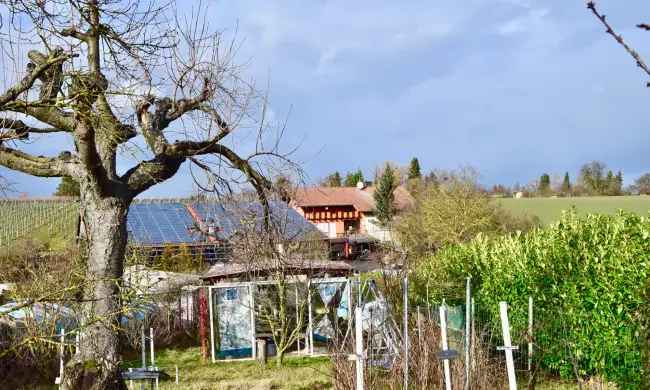 Sonniges Gartengrundstück in schöner Lage bei Leingarten