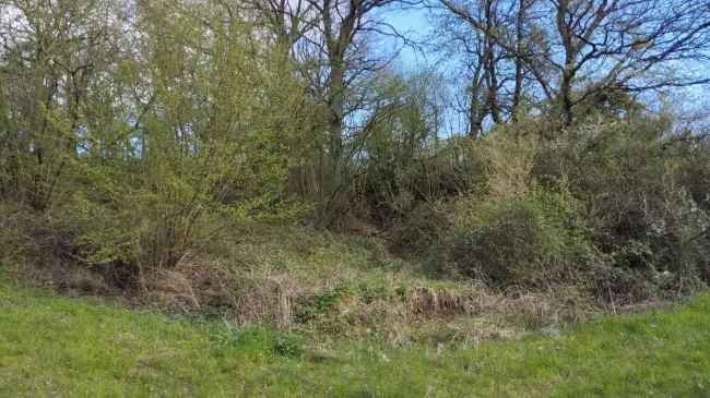 Verkauf Grundstück in Osterthal für Naturfreunde mit zufahrt