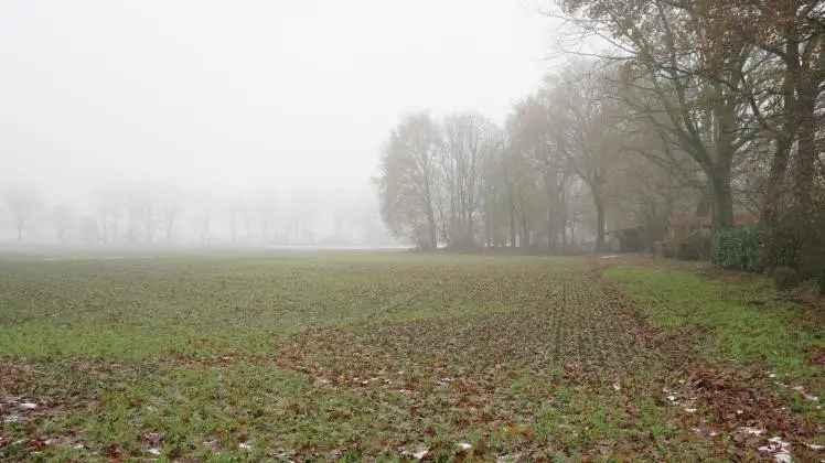 exklusives Grundstück im Gewerbemisch-Gebiet