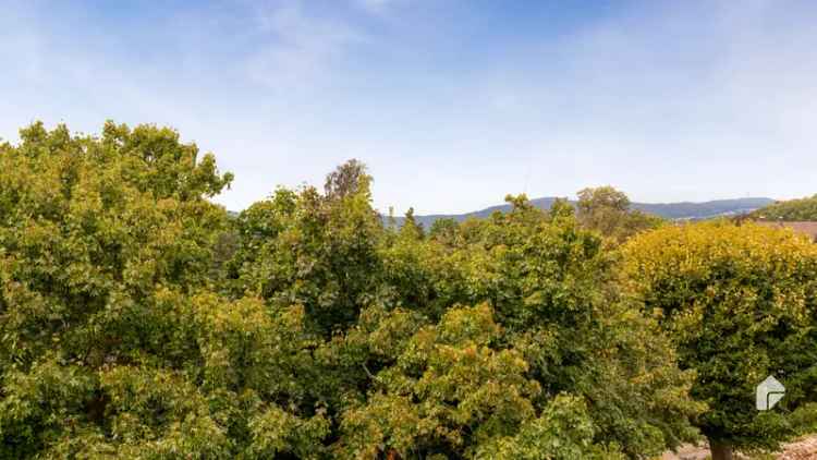 Schöne 3-Zimmer-Wohnung mit 2 Balkons und EBK in sehr beliebter Lage mit Burgblick