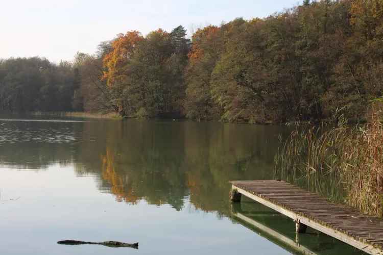 Ferienbungalow kaufen im Naturpark Märkische Schweiz Altfriedland mit Terrasse