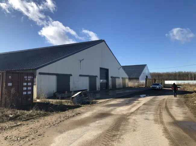 Grundstück von 8200 ha und ein Milchviehbetrieb für 1200 Rinder in Region Nowgorod, Russland