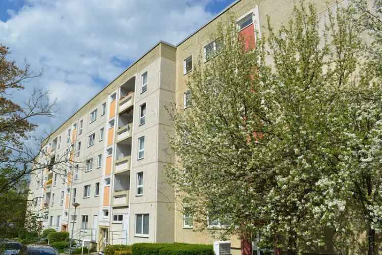 WG Zimmer mieten in einem Pflegeleichten Plattenbau im Grünen